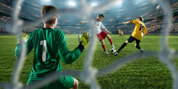 作为一名足 作为一名足