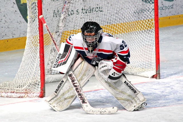 多样化的课 多样化的课